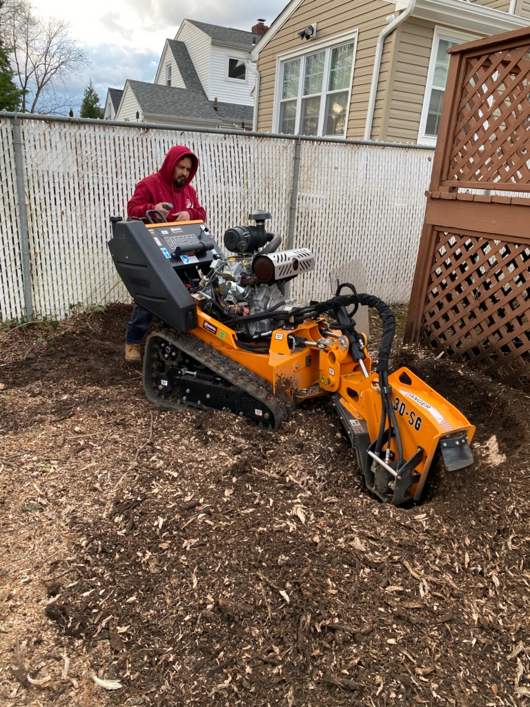 Stump Grinding